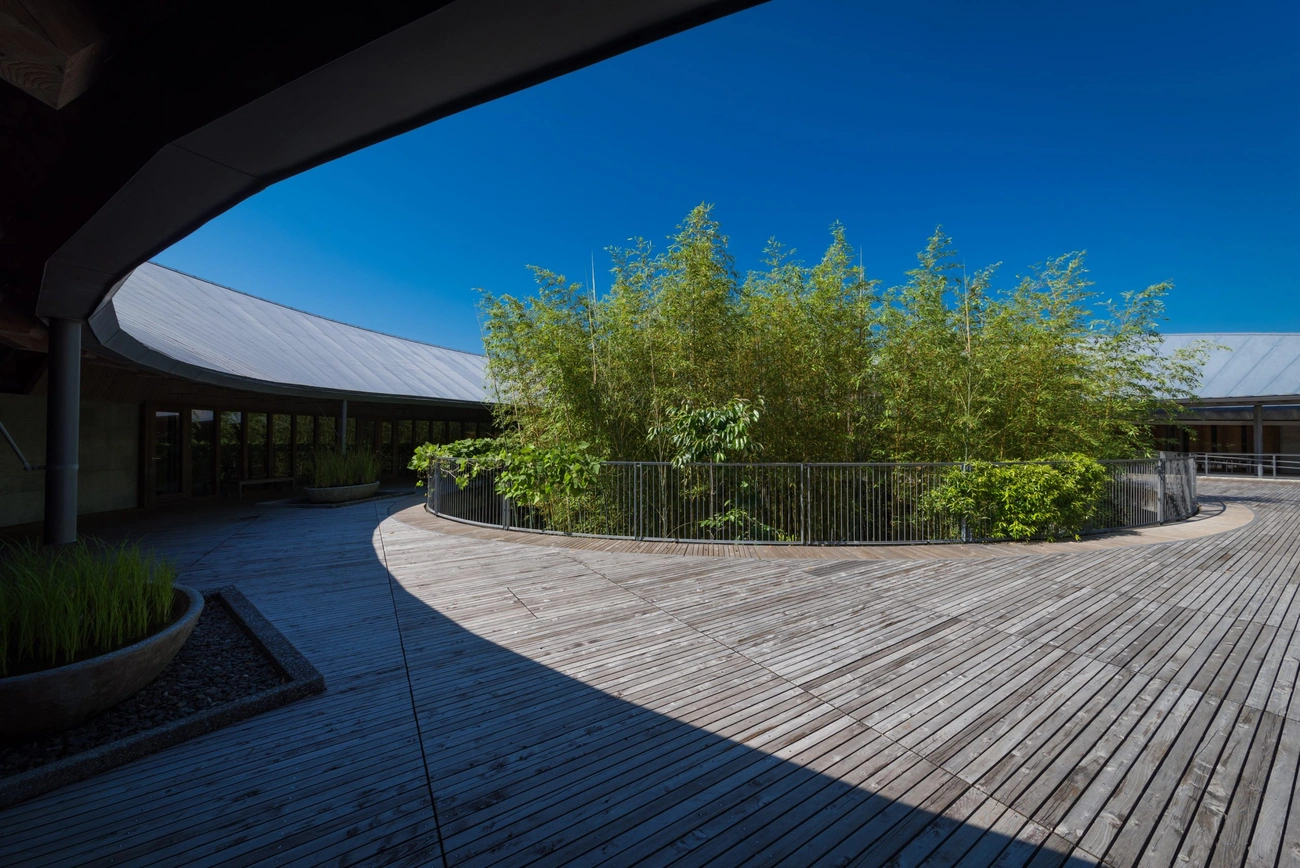 县立牧野植物园|高知土佐美居温泉度假酒店