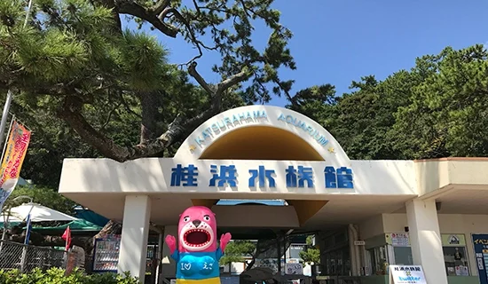 フォトギャラリーイメージ｜メルキュール高知土佐リゾート＆スパ