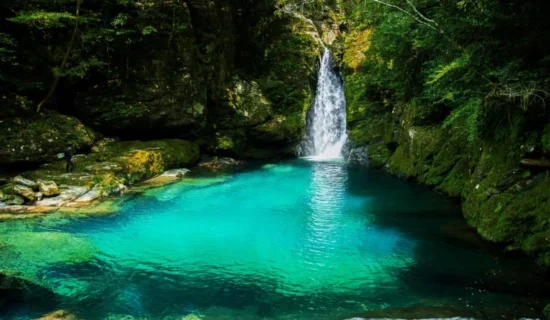 高知土佐の観光＆アクティビティ  売れ筋ランキングをご紹介