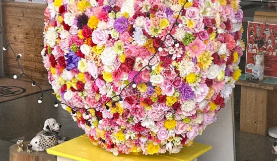 土佐の味わい「響屋」のお酒