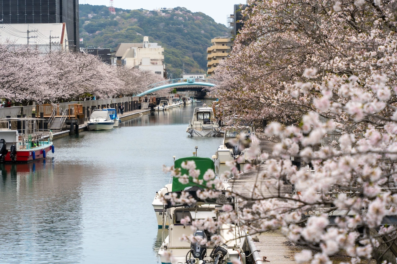 メインビジュアルイメージ｜メルキュール高知土佐リゾート＆スパ