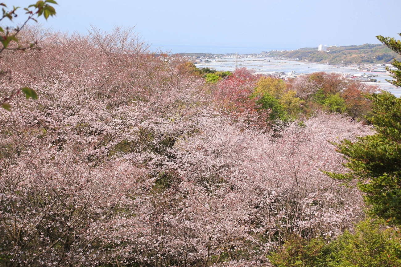 メインビジュアルイメージ｜メルキュール高知土佐リゾート＆スパ